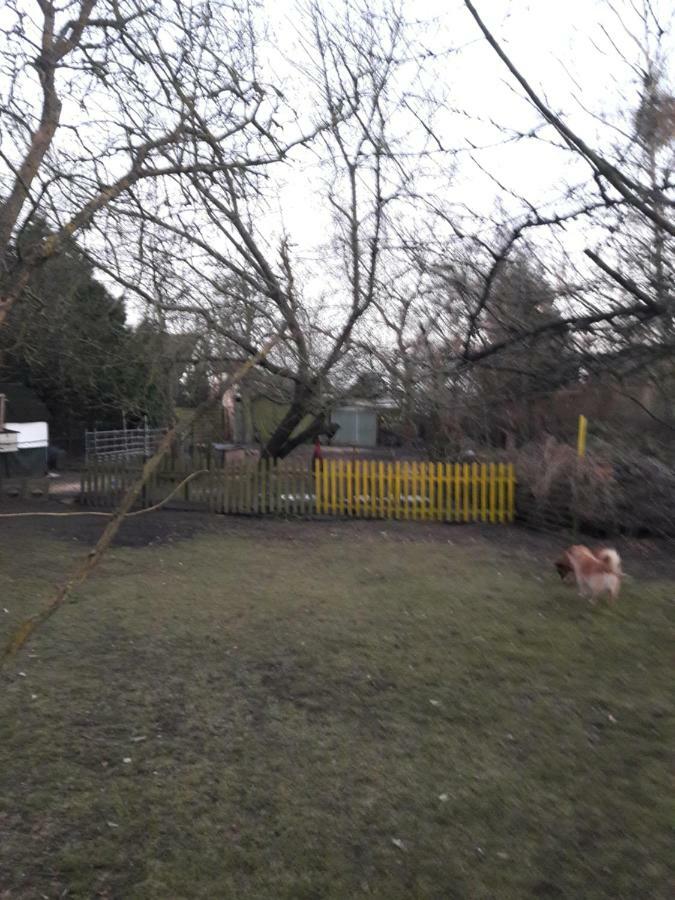 Hundefreundliches Zimmer Wustermark Kültér fotó